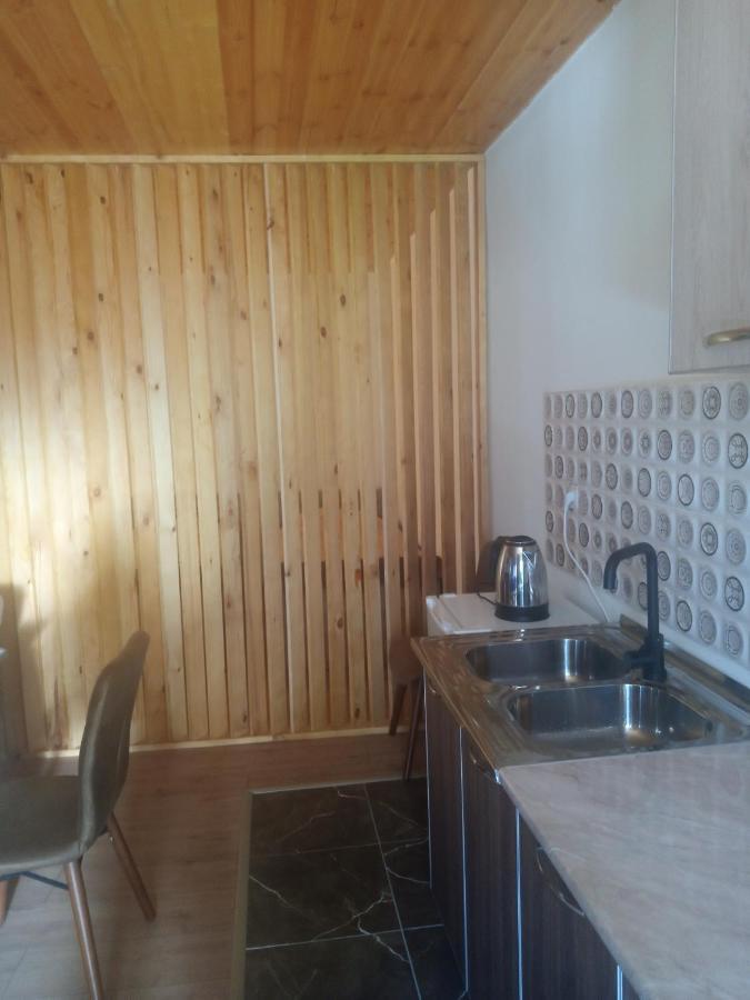 Guesthouse Data Mestia Exteriér fotografie